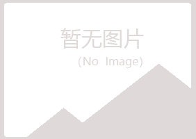 城子河区山柏采矿有限公司